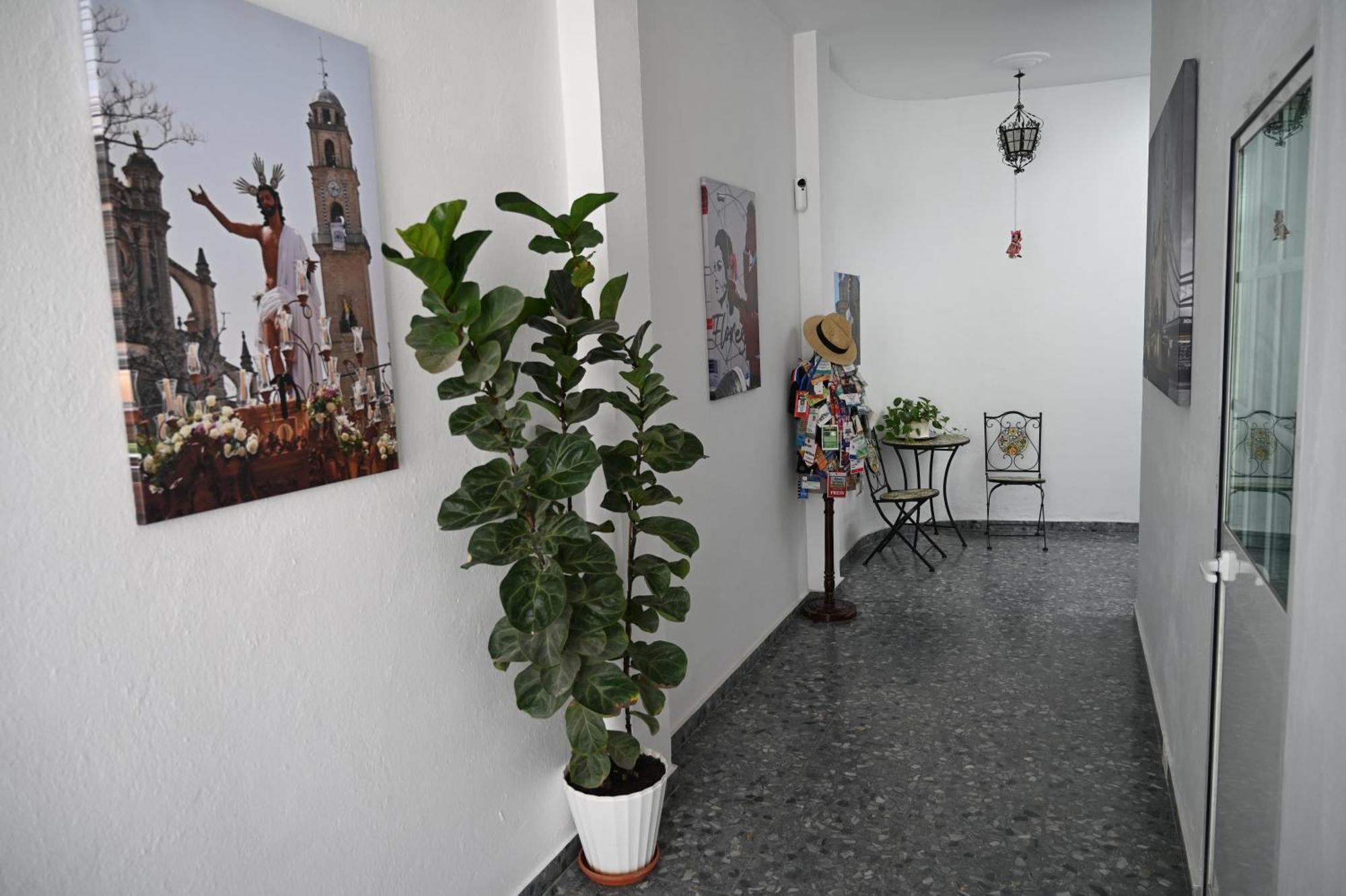 Appartement Bienvenidos A San Miguel à Jerez de la Frontera Extérieur photo